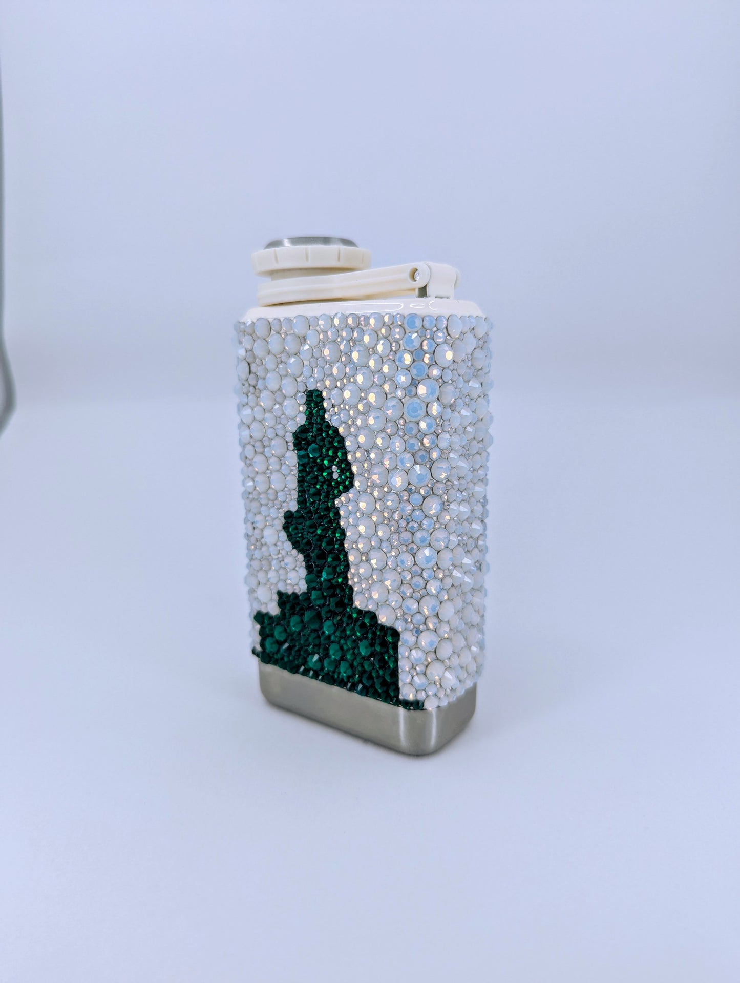 Officially Licensed MSU Mini Flask